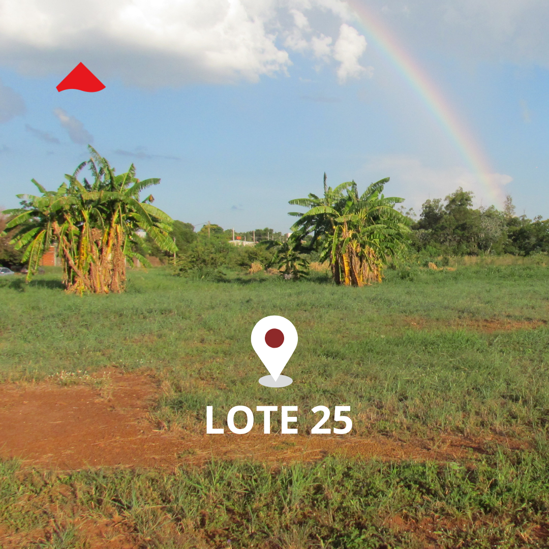 Lote 24-ubicación (2)